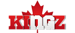 Gamblingkingz – guida digitale all'intrattenimento online